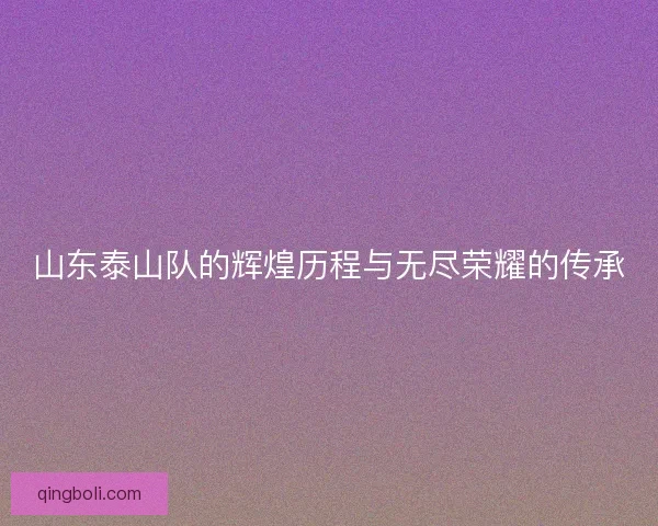 山东泰山队的辉煌历程与无尽荣耀的传承